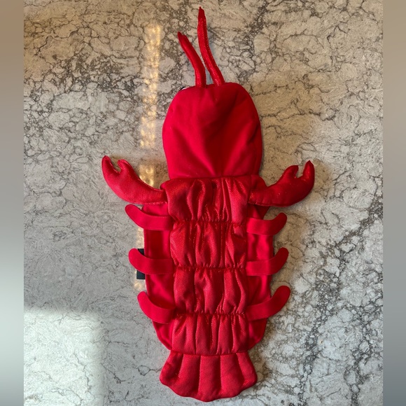 Lobster Pet Costume - Picture 2 of 8